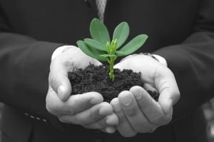 Growing Your Business: The Plain Truth