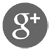 Google+
